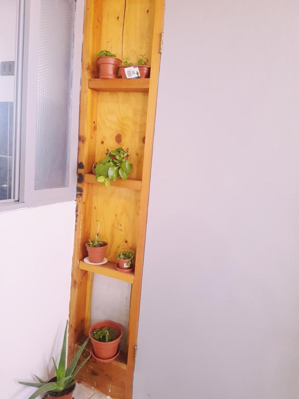 Departamento Luna Andina San Pedro de Atacama Exterior foto